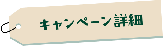 �L�����y�[���ڍ�