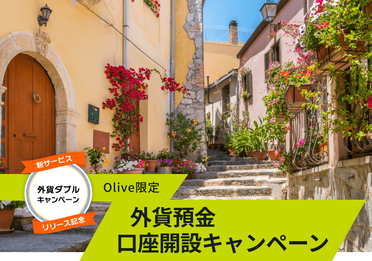 �V�T�[�r�X �����[�X�L�O �O�݃_�u���L�����y�[�� Olive���� �O�ݗa�������J�݃L�����y�[��