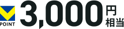 V�|�C���g3,000�~����