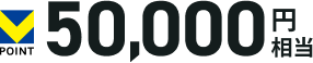 V�|�C���g50,000�~����