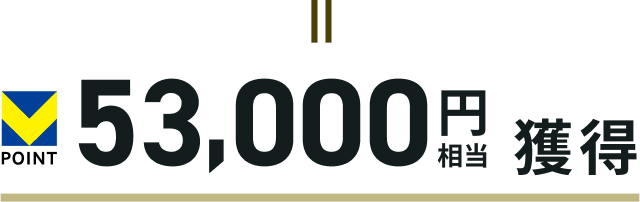 V�|�C���g53,000�~�����l��