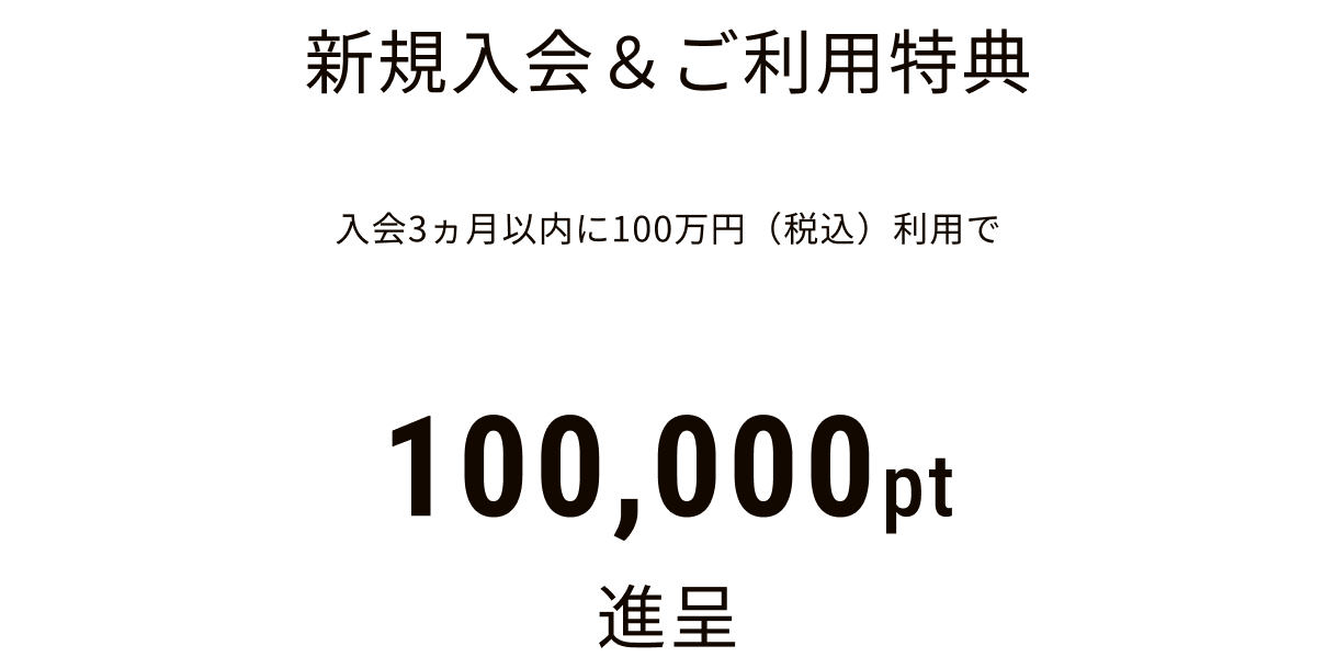 VKpT 3ȓ100~iōjp 100,000pti