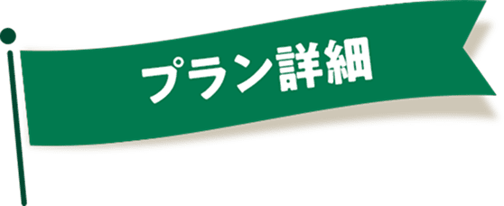 vڍ