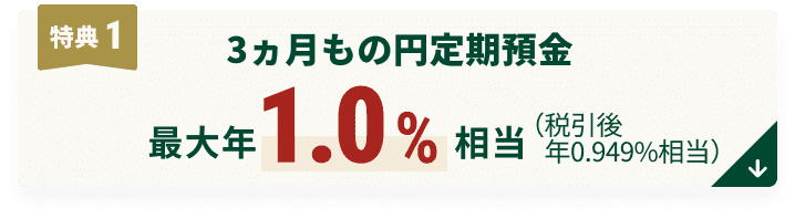 T1 3̉~a őN1.0iň N0.949%j