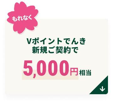 V�|�C���g�ł񂫐V�K���_���5,000�~����