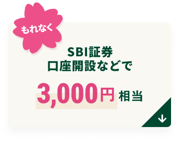 SBI�،������J�݂Ȃǂō��v3,000�~����