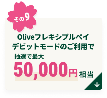 Olive�t���L�V�u���y�C�f�r�b�g���[�h�̂����p�Œ��I�ōő�50,000�~����