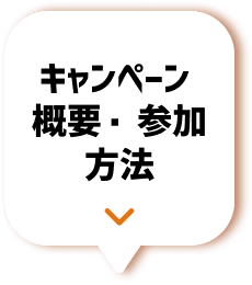�L�����y�[���T�v�E�Q�����@