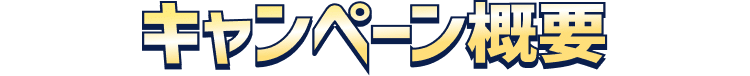 �L�����y�[���T�v