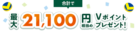 vōő21,100~V|Cgv[gI