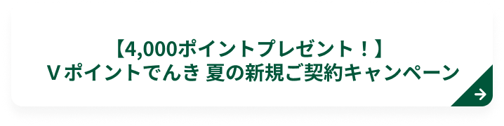 �y4,000�|�C���g�v���[���g�I�zV�|�C���g�ł� �Ă̐V�K���_��L�����y�[��