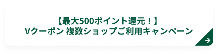 �y�ő�500�|�C���g�Ҍ��I�zV�N�[�|�� �����V���b�v�����p�L�����y�[��