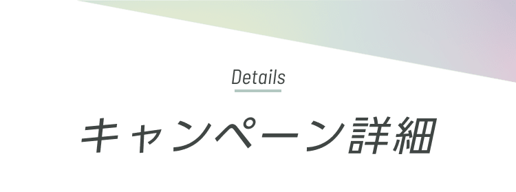 �L�����y�[���ڍ�