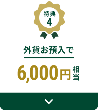 ���T4 �O�݂��a���ōő�6,000�~����