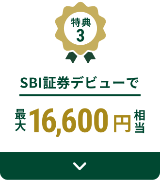 ���T3 SBI�،��f�r���[�ōő�16,600�~����