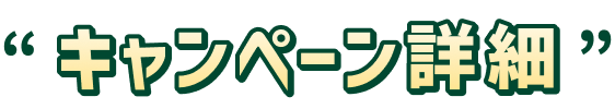 �L�����y�[���ڍ�