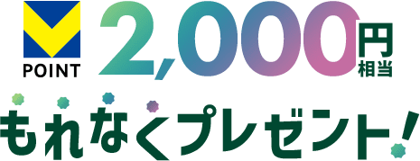 VPOINT 2,000~ Ȃv[gI