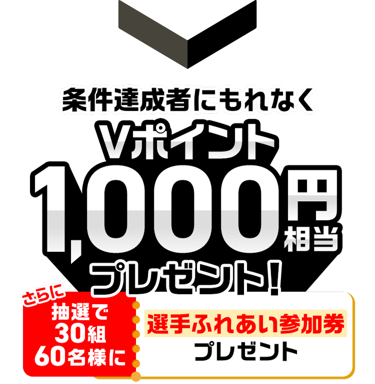 B҂ɂȂV|Cg1,000~v[gIɒI30g60lɑIӂꂠQv[g