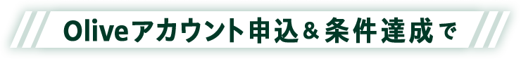 OliveAJEg\B