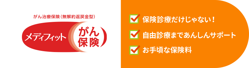 がん治療保険(無解約返戻金型)メディフィットがん保険 保険診療だけじゃない! 自由診療まであんしんサポート お手頃な保険料