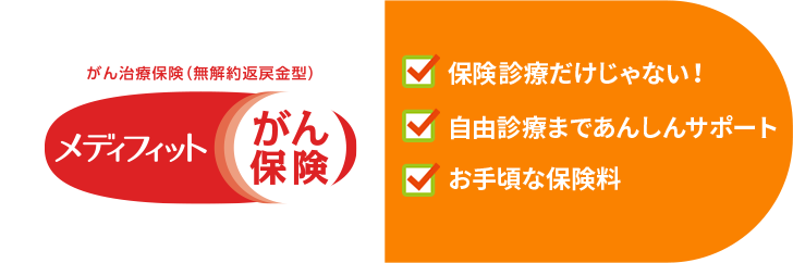 がん治療保険(無解約返戻金型)メディフィットがん保険 保険診療だけじゃない! 自由診療まであんしんサポート お手頃な保険料