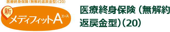 新メディフィットA 医療終身保険(無解約返戻金型)(20)