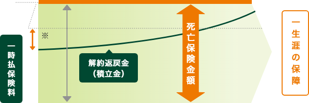 定額終身保険(円建/外資建)のイメージ図