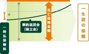 定額終身保険(円建/外資建)のイメージ図