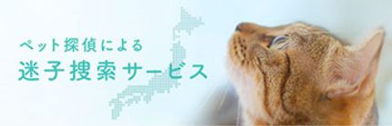 迷子関連サービス