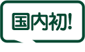 国内初!