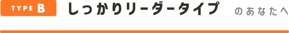 TYPEB 胊[_[^Cv̂Ȃ