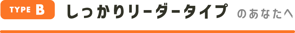 TYPEB 胊[_[^Cv̂Ȃ