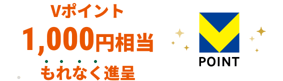 V�|�C���g1,000�~��������Ȃ��i��