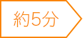 約5分