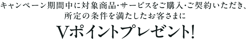 �L�����y�[�����Ԓ��ɑΏۏ��i�E�T�[�r�X�����w���E���_�񂢂������A����̏����𖞂��������q���܂�V�|�C���g�v���[���g�I