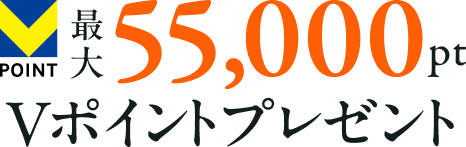 V�|�C���g�ő�55,000pt V�|�C���g�v���[���g