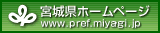 {錧z[y[WփN