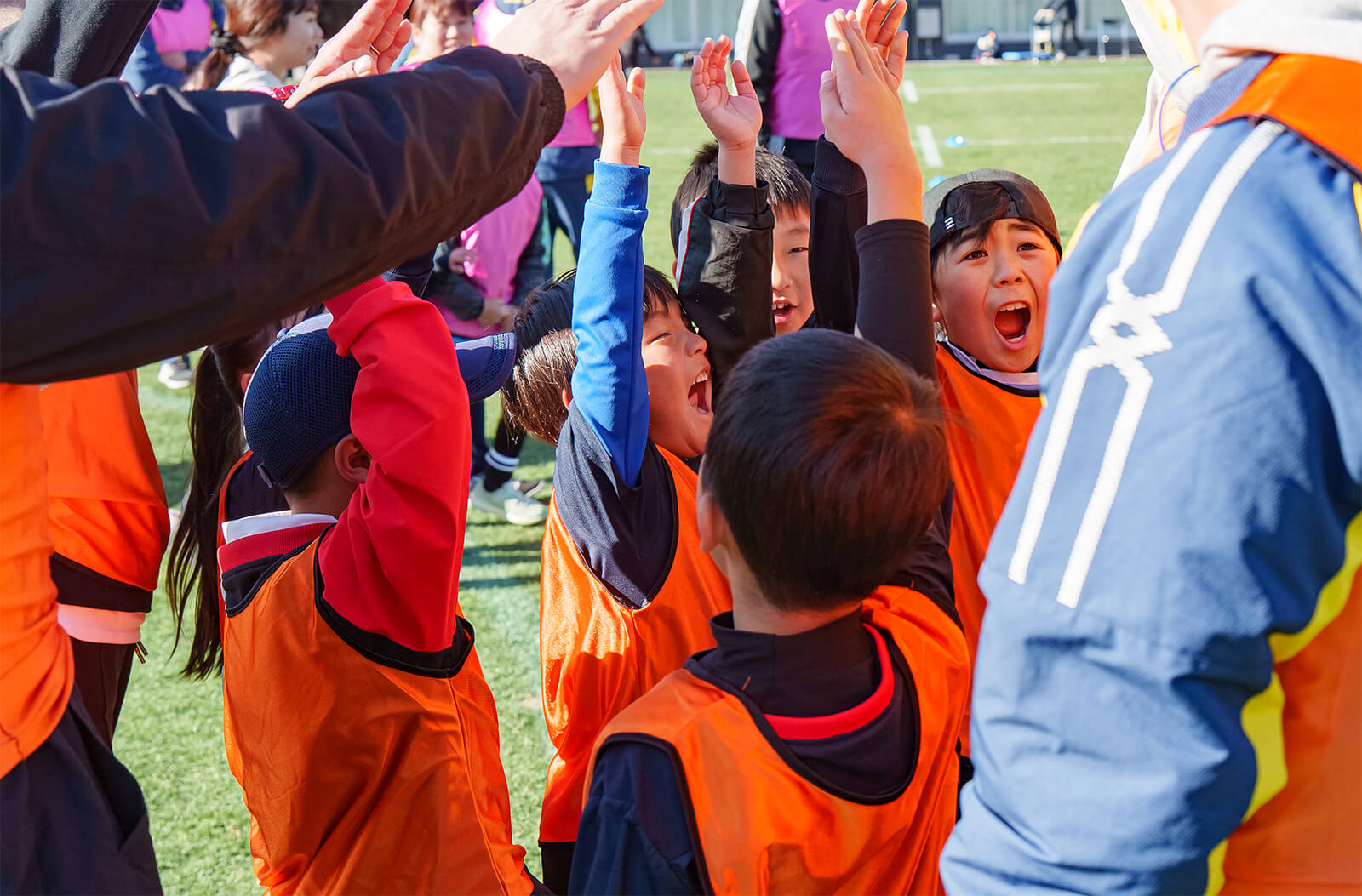 ����c�̉摜 1����