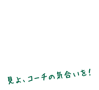 AR[`̋CI