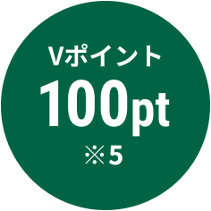 Vポイント100pt ※5